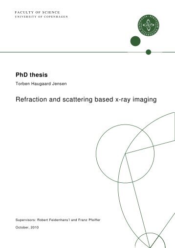 Niels bohr thesis