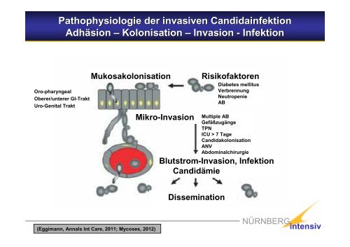 Harmlose Hefe ? Diagnostik und Therapie der Candida-Infektionen