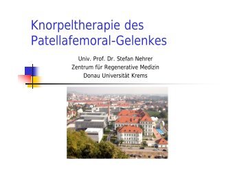 Univ. Prof. Dr. Stefan Nehrer - Vinzenz Gruppe