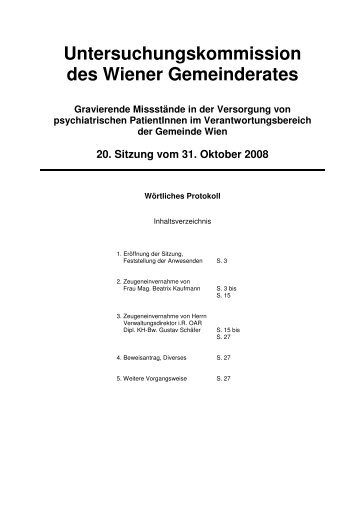 Wörtliches Protokoll 30.Okt.08 - Der Wiener Psychiatrieskandal