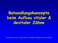 Aufbau von vitalen Zähnen