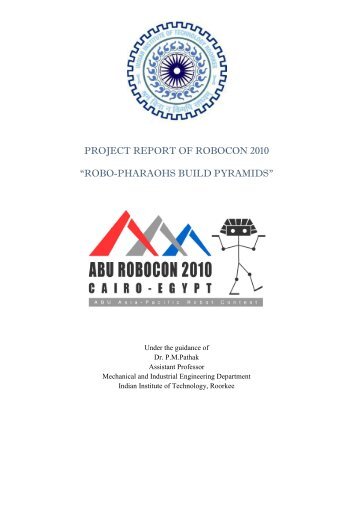 PROJECT REPORT OF ROBOCON 2010 “ROBO ... - Robocon IITR