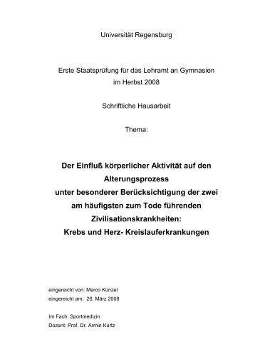 Ausschnitt Zulassungsarbeit Marco Künzel als PDF