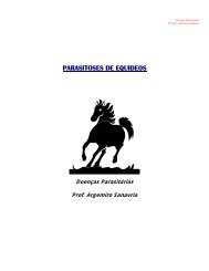 Parasitas de Equideos - Adivaldo H. Fonseca