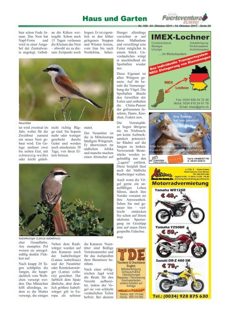 Costa Calma - Fuerteventura-Zeitung