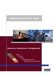 Energierohstoffe 2009: Reserven, Ressourcen ... - BGR - Bund.de