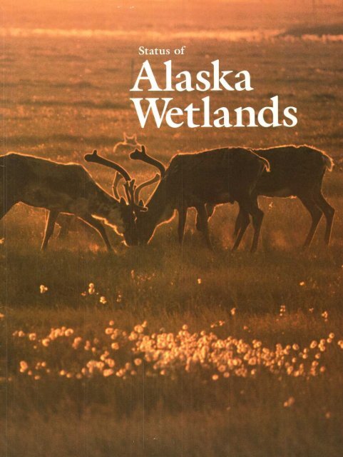 Status of Alaska Wetlands - U.S. Fish and Wildlife Service