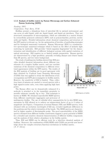 IWC Annual Report 2008 - Institut für Wasserchemie und chemische ...