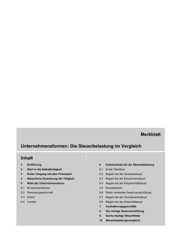 Unternehmensformen: Die Steuerbelastung im Vergleich - Heike Wolf