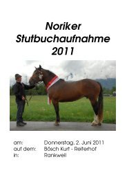 Noriker Stutbuchaufnahme 2011 - Pferdezucht-Austria