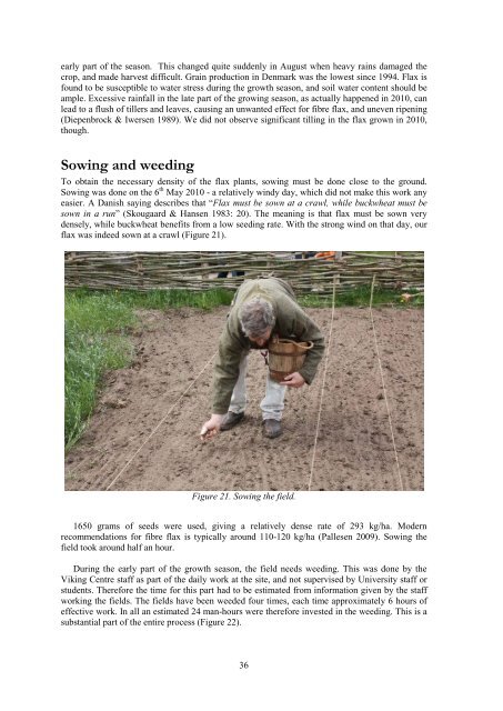 From flax to linen. Experiments with flax - Ribe VikingeCenter