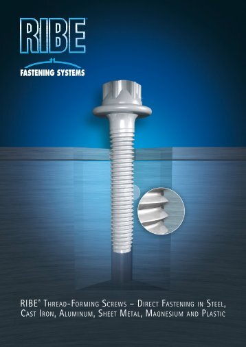 RIBE Fastening Systems - Thread-Forming Screws