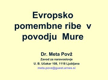 Evropsko pomembne ribe v povodju Mure, Meta Povž - Natura 2000