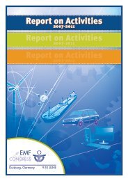 Report on Activities Report on Activities Report on ... - EMF-FEM