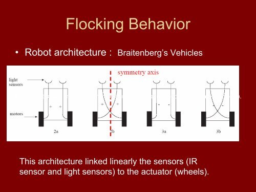 Flocking Behavior - EPFL