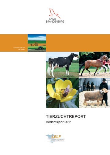Tierzuchtreport komplett.pdf - LELF - Brandenburg.de