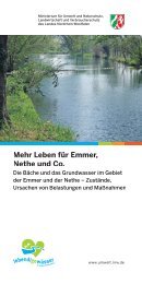 Mehr Leben für Emmer, Nethe und Co. - Flussgebiete in NRW