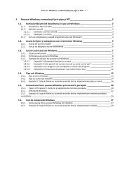 1. Procese Windows; comunicaţii prin pipe şi IPC 2