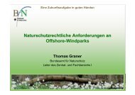 Naturschutzrechtliche Anforderungen an Offshore-Windparks