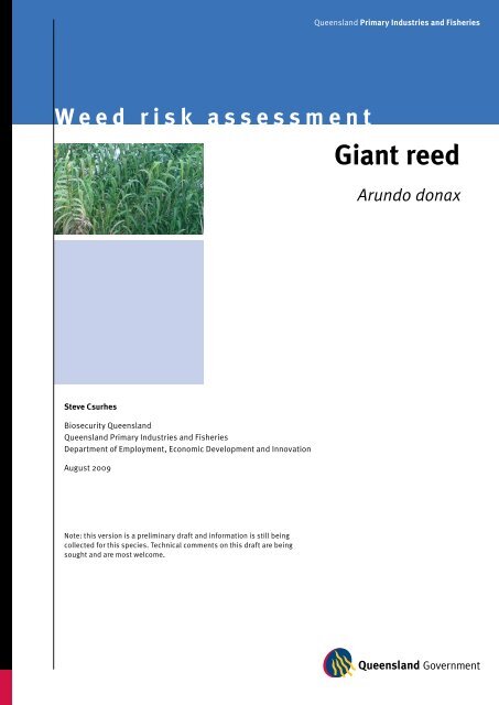 Giant reed (Arundo donax) - Department of Primary Industries