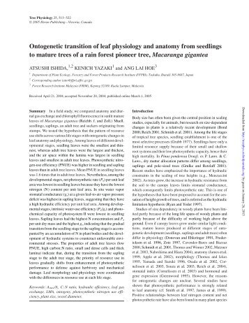 Ontogenetic transition of leaf physiology and ... - Tree Physiology