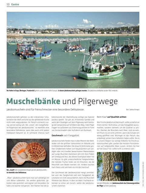 termin - Hindenburger Stadtzeitschrift für Mönchengladbach und ...