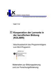 Kooperation der Lernorte in der beruflichen Bildung - Bund-Länder ...