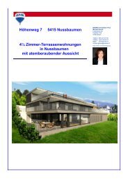 Doku Nussbaumen 2 - Marisol Garcia Borkheim Immobilien