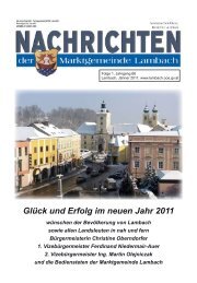 Glück und Erfolg im neuen Jahr 2011 - Lambach