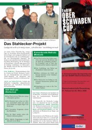 Das Stahlecker-Projekt - Fritz Stahlecker