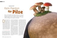 Kein Pardon für Pilze - Reiter Revue International