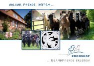 Urlaub, Pferde, Reiten ... ... Islandpferde erleben