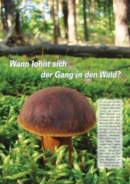 08/2012 www.hm-infinity.de - Halstenbeker Magazin