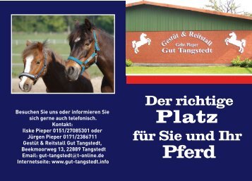 Platz Pferd - Gestuet und Reitstall Gut Tangstedt