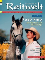 Paso Fino Paso Fino - Reitwelt