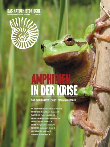 Amphibien in der Krise - Naturhistorisches Museum Wien