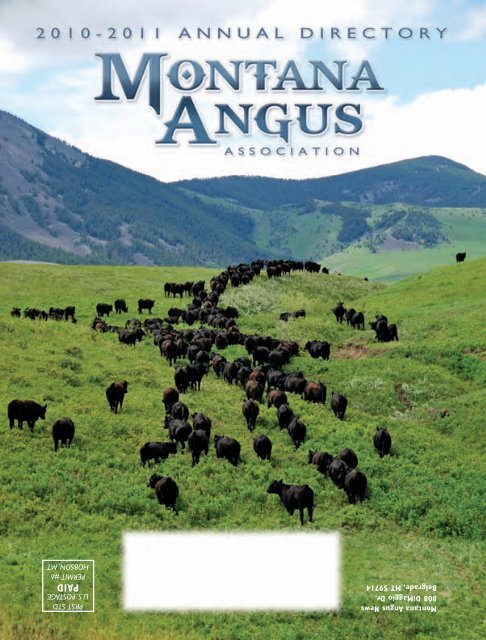 Montana Angus News 808 Dimaggio Dr Belgrade Mt 59714