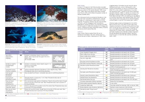 The Marine Environment of the Pitcairn Islands - Pew Environment ...