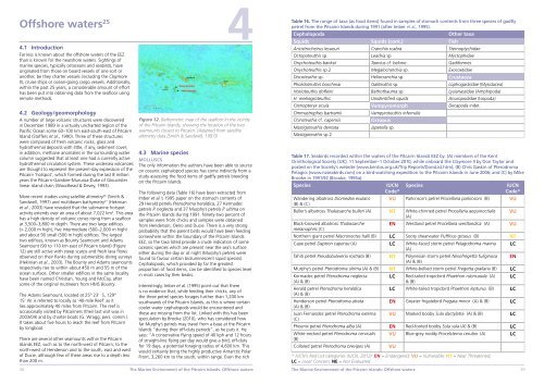 The Marine Environment of the Pitcairn Islands - Pew Environment ...