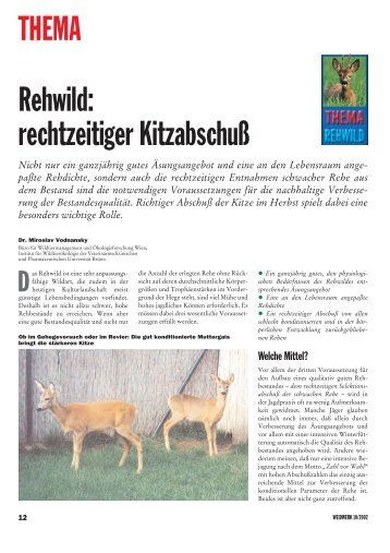 THEMA Rehwild: rechtzeitiger Kitzabschuß