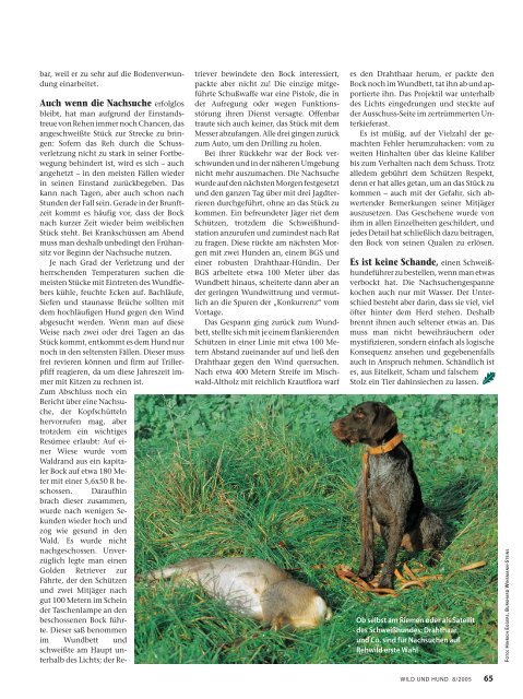 060 065 Nachsuche Rehwild - Wild und Hund
