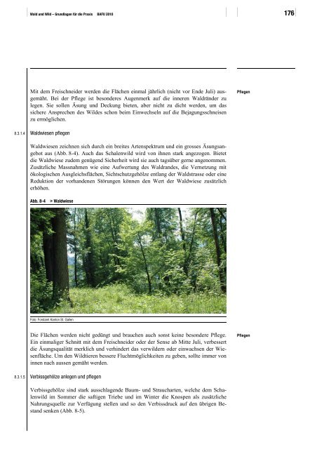 Wald und Wild – Grundlagen für die Praxis - BAFU