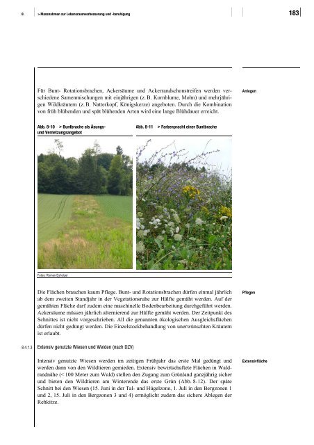 Wald und Wild – Grundlagen für die Praxis - BAFU