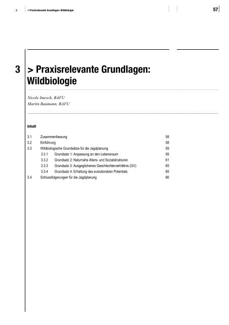 Wald und Wild – Grundlagen für die Praxis - BAFU