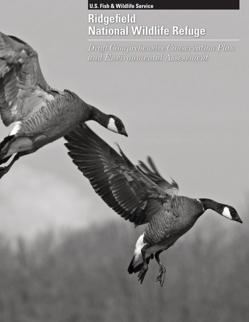Dusky Canada goose  Washington Department of Fish & Wildlife