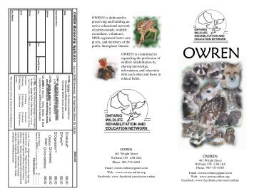 OWREN - Ontario Wildlife Rehabilitation and Education Network