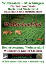 Wildackerfibel
