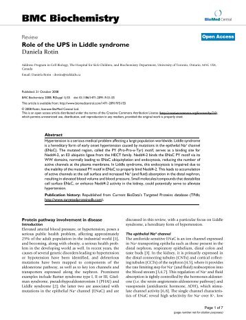 Role of the UPS in Liddle syndrome