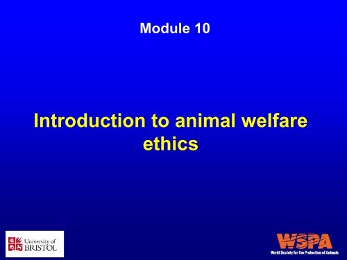 Introduction to animal welfare ethics - WSPA Introduction to animal welfare ethics - WSPA