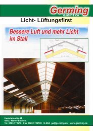 Germing GmbH & Co Licht- Lüftungsfirst